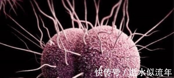 微生物|年轻女性因上了一次公厕，被感染了性病，出门在外每个人都要注意！