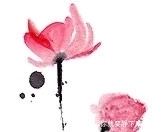 学好|学好“四十八愿”:细致解析第十一愿——正定必至涅槃愿(1)