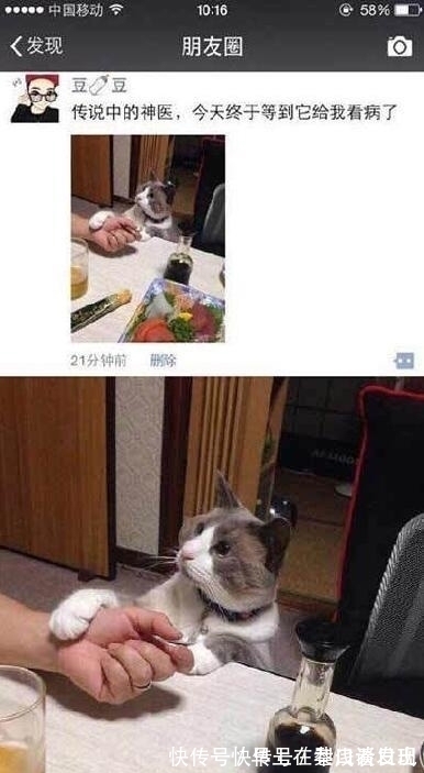 |最搞笑的朋友圈合集：看见这朋友圈，我发现我还是有治的！