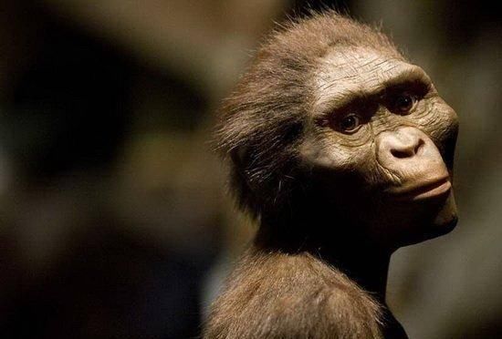 如果把宇宙的历史压缩到1年，人类何时能出现