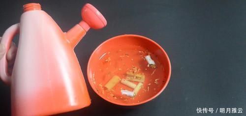 家里有抽剩的烟头吗 这个用途太厉害了, 看完抓紧告诉家里人