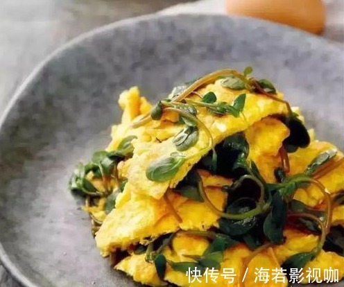 苦菜|7种农村常见的野菜，个个都是治病的“良药”，你吃过几个