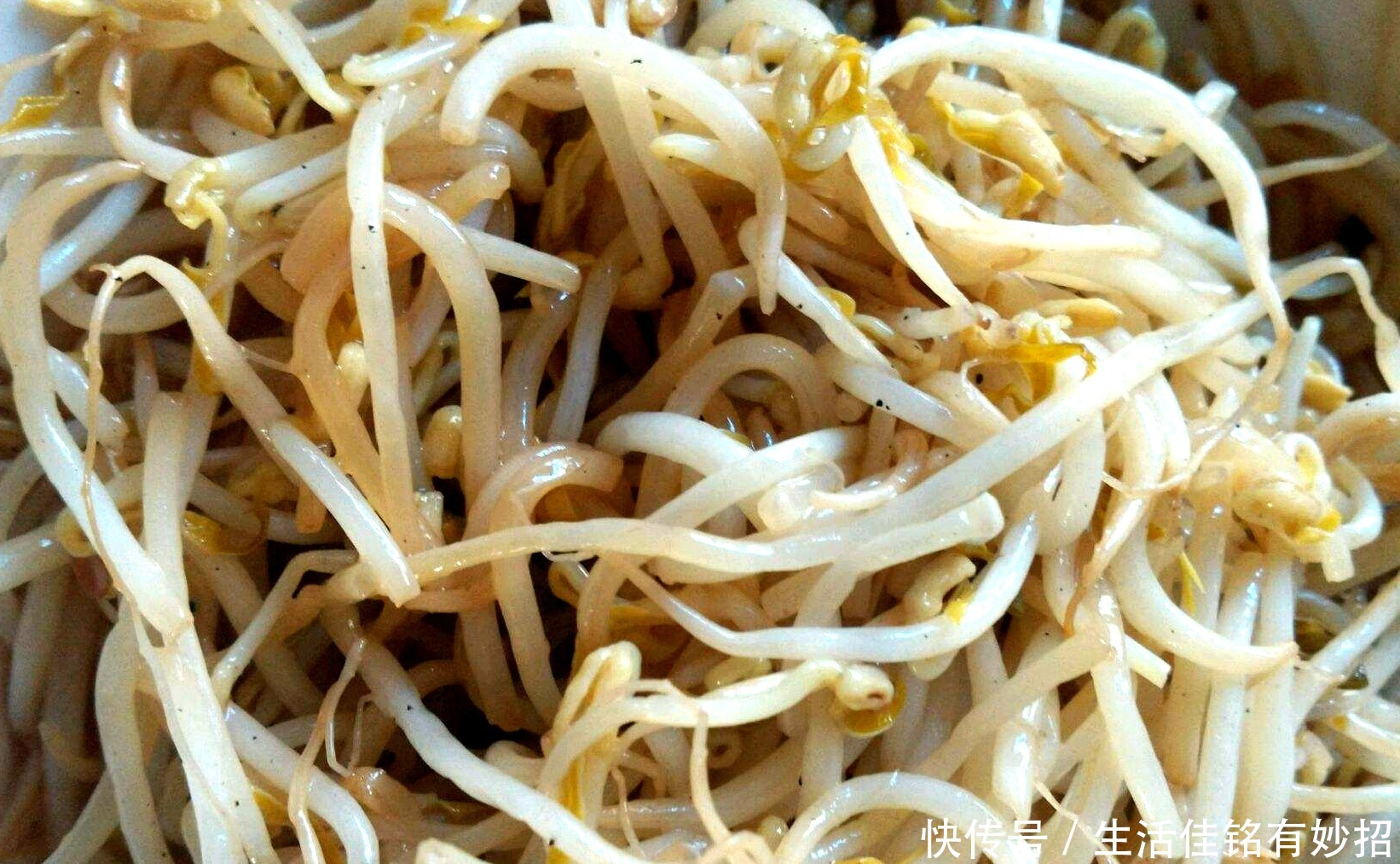 炒出来的绿|清炒绿豆芽,直接下锅炒大错特错,掌握技巧,豆芽清脆鲜嫩更可口