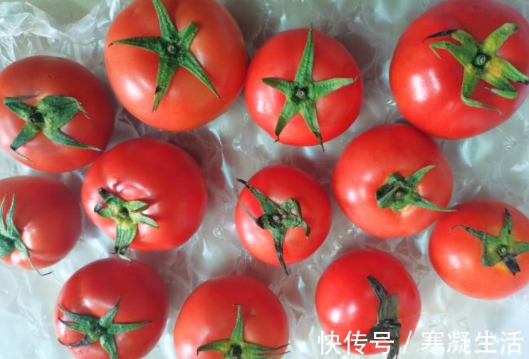 种植户|西红柿打没打激素，种植户教你一招，牢记这“3不买”，一眼看出