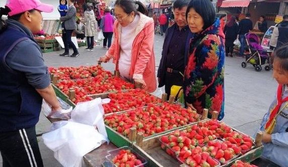 孙女|孙女哭着要吃40元一斤的草莓，奶奶就是不买！网友评论区吵翻了