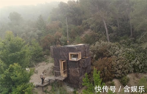 小菜园|他用40棵松树,在荒山野林建起小屋,屋顶种菜生活自给自足