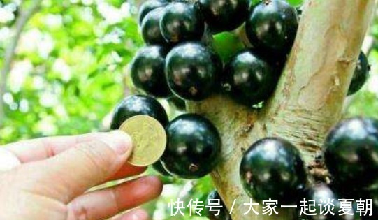 皱纹|女性过了40岁，可常吃此物，淡化皱纹，减淡色斑，肌肤显年轻