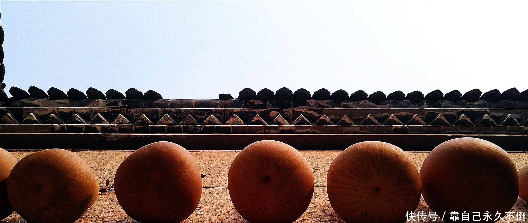村子不见一间房,人都生活在地下,这是中国最具特色的民居建筑!