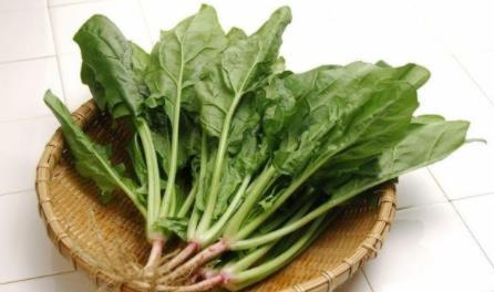 养肝就是养命,常吃6大“护肝”食物,医药费省下来都能旅游了