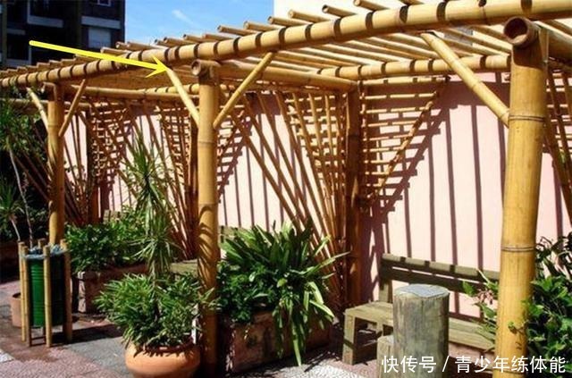 小院搭个漂亮的廊架,根本用不着钢管,砍几根竹子结实耐用十多年!