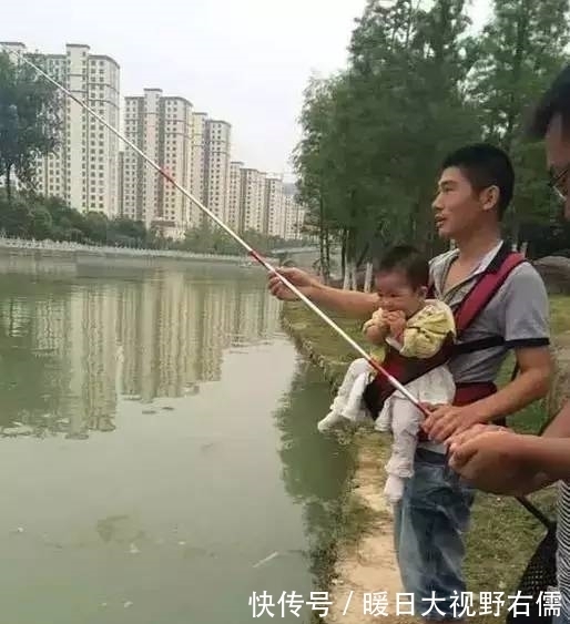 鲫鱼|一到夏天 是不是感觉鱼很难钓?原因全在这里,今天统统告诉你