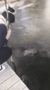 |搞笑GIF段子:不是说女追男隔层纸吗?这也太好追了吧,哈哈哈哈