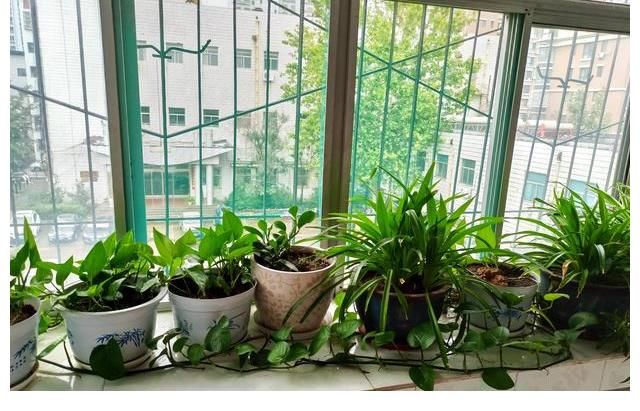 九連真人|樂隊の夏天第一季觀后感