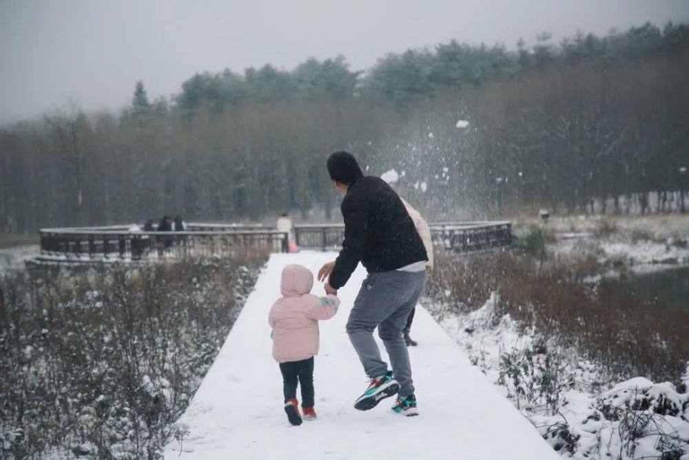 下雪|太美了！月坝下雪啦，刷爆朋友圈！