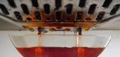 花盆|什么淘米水、啤酒水,都不如1勺溶液,家家都有,养啥旺啥