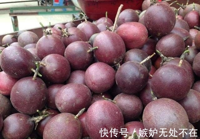 百香果|街上一斤10元,其实只要一粒籽就能在家盆栽,一年四季都结果!