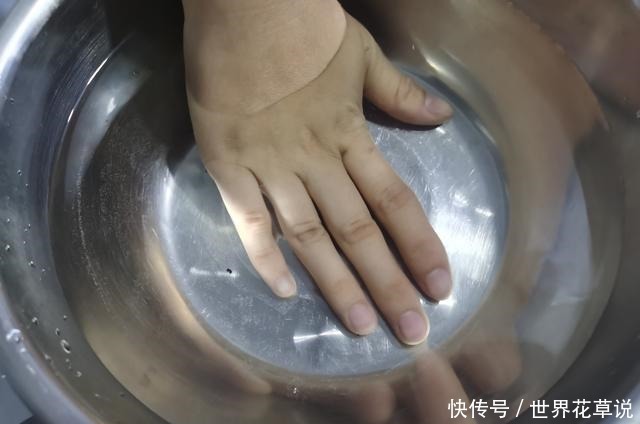 蒸馒头面粉与酵母的比例,可不可以放白糖面点师来教你怎样做