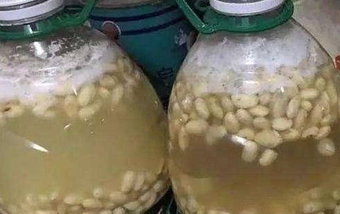 还在花钱买花肥?教你自制有机肥,不花一分钱养啥花都旺!