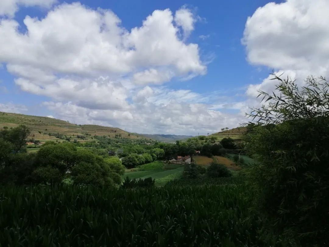 山湾|会宁：最好的风景在山湾里