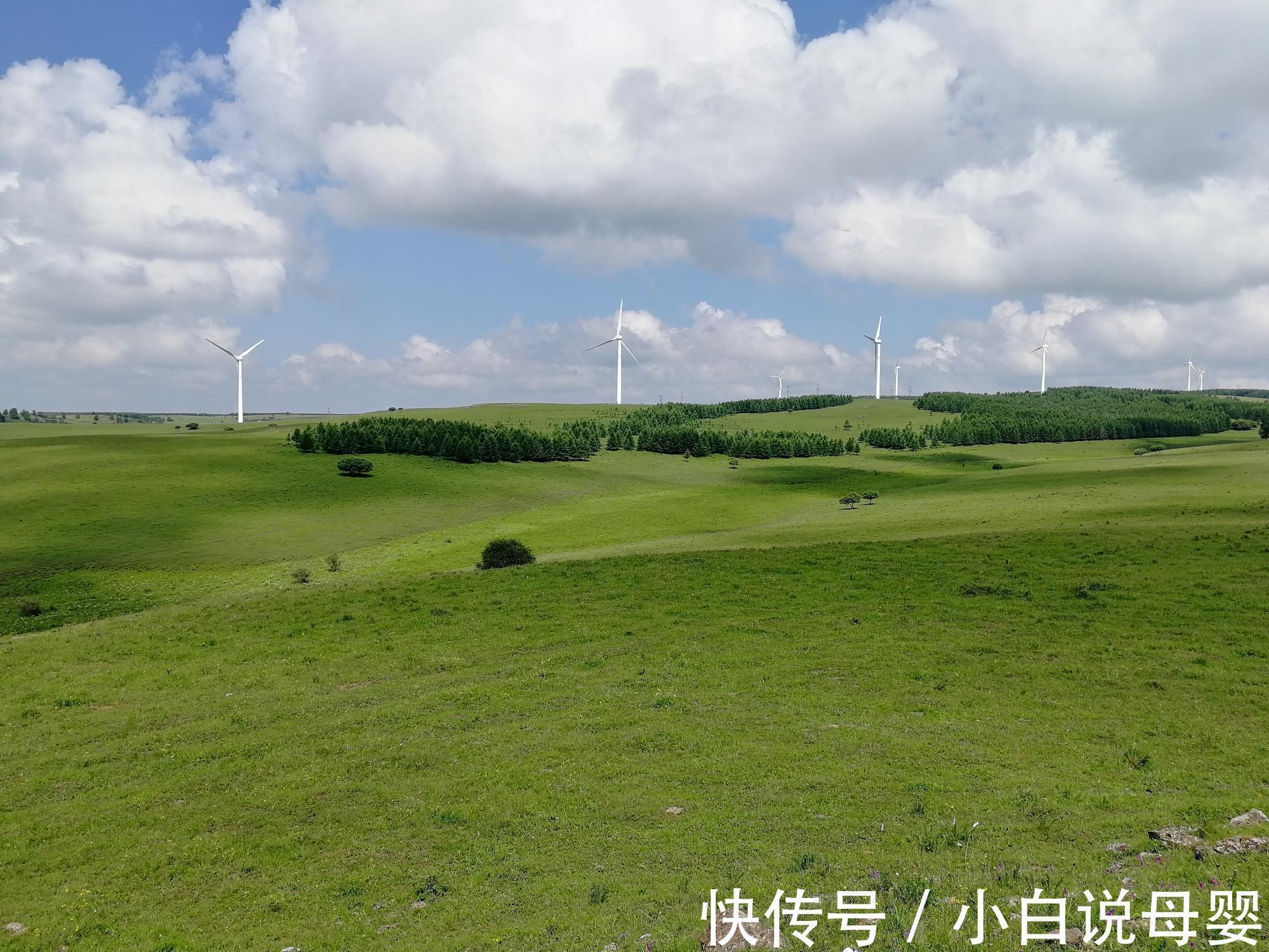 慎入|盐水洗痔疮居然好了?没想到痔疮竟然也有弱点,8年混合痔有救了