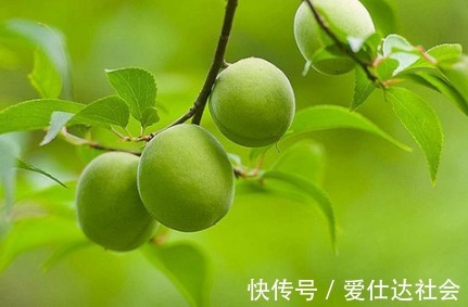 排毒养颜|它是天然“养胃王”,胃不好的人,坚持食用一星期,胃会越来越好