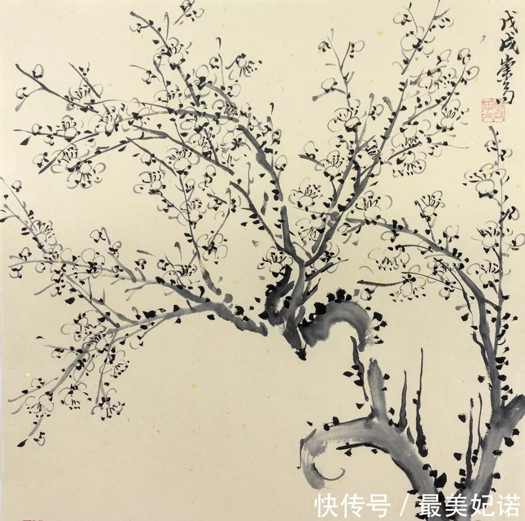 仙葩$锦官城外雪皑白,千里江天同一色,万家灯火入河来