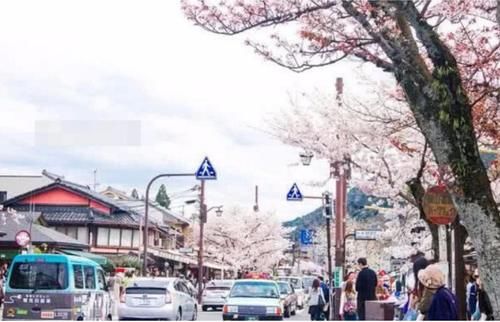 去日本旅游时，遇见有当地人对你弯食指，导游：这时要当心了