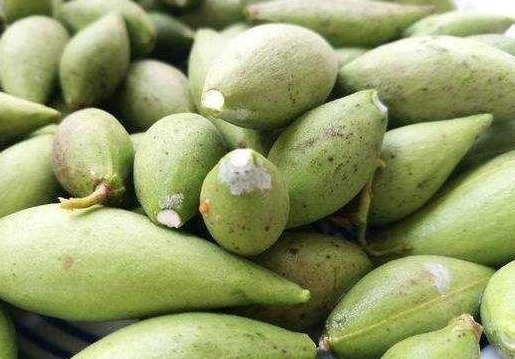 汁液|在乡下到处都是，以前没人吃，现在到城里30一斤抢着买