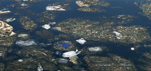 人類 地球狀況不容樂觀?220位專家表示,未來10年人類要面臨5大危機!