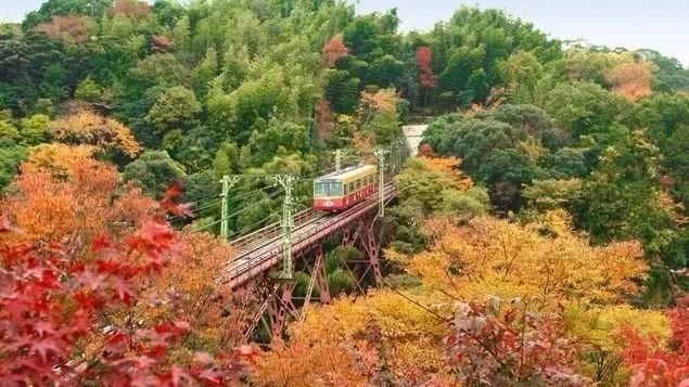 神社|日本第二宗庙！神风特功队对其深爱有加，这到底是个怎样的神社？