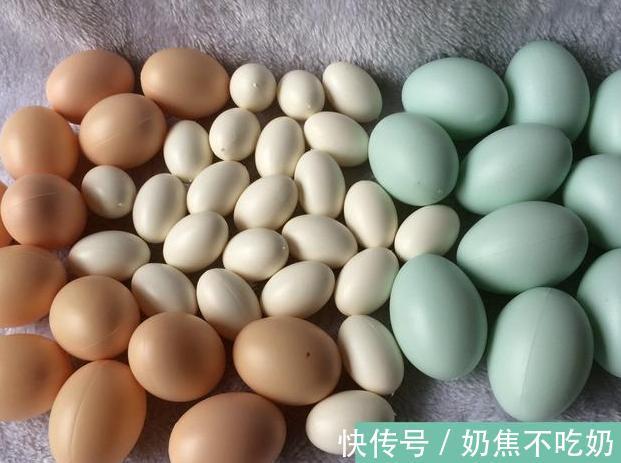 鸡蛋|鸡蛋、鹅蛋、鸭蛋，哪个更有营养？营养师告诉你标准答案