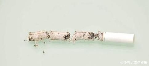 生活中常见的4种“灰”,拿来养花效果好,虫子不见、花草旺盛