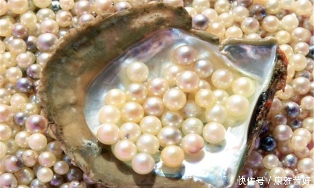 误解|买椟还珠,一个被误解千年的寓言,诠释了一个经典的人生哲理