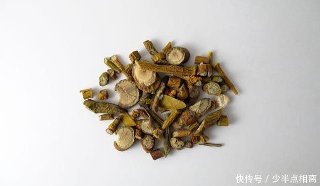 此植物獲得桑樹之精氣而生,善滋肝腎、強筋骨、祛風(fēng)濕,滋養(yǎng)血脈