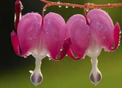  保存|建议你看完了也保存下，好多人花100万也买不来这张表！受益！