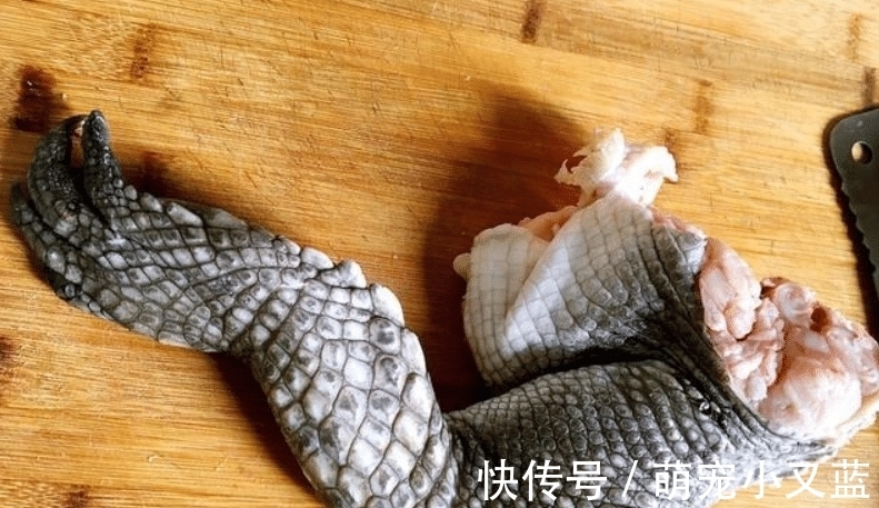 黄海|中国四个海哪个海里的海鲜好吃，为什么？