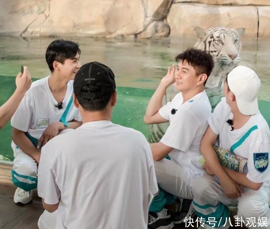 ent|牛气满满的哥哥官宣阵容，4位嘉宾回归，陈立农加盟收视稳了