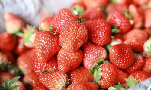 延缓衰老|超市最常见的3种食物，美容养生，延缓衰老，爱吃就赚了