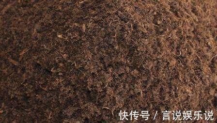 排水|养花不死,全靠盆土,用这个土养花,能活几十年