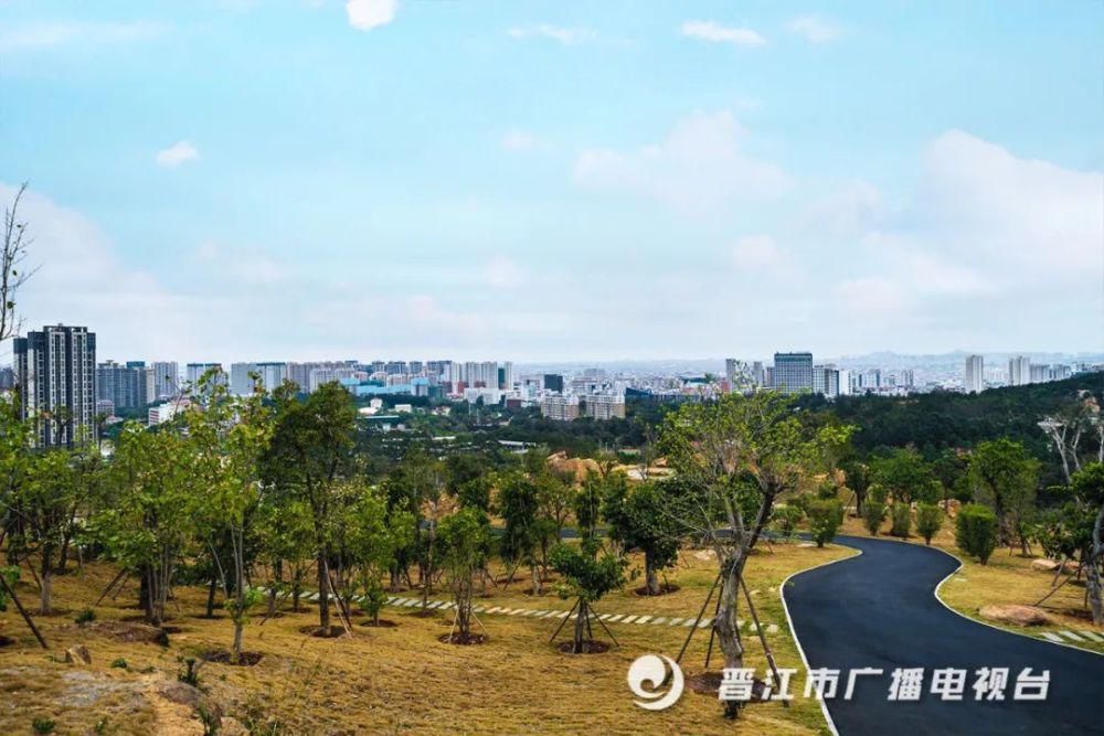 老年|惊艳来袭！晋江市区千亩“天然氧吧”，春节赏花好去处！