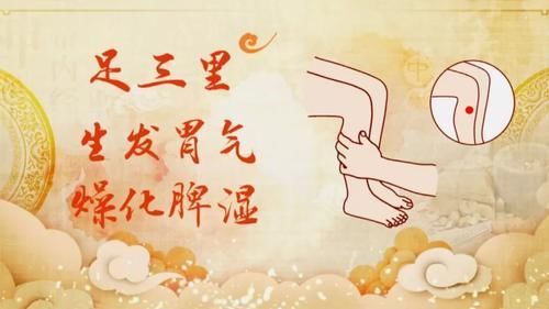 膝关节|饭后半小时,养生黄金期!做好这几件事,强身健体、通畅胃经