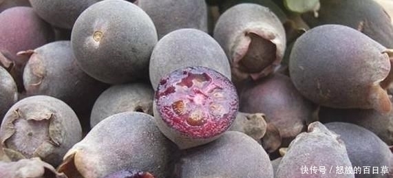 农村|4种即将“消失”的农村野果,全吃过越来越少,你吃过几种呢