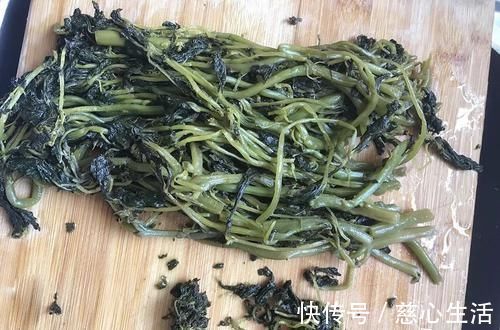 茄科|一种茄子，全株都有毒，却成南方民间美味野菜，做腌菜是一绝