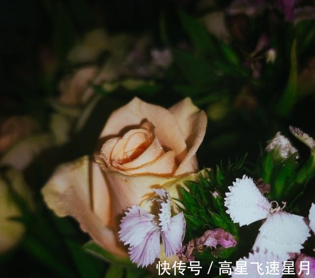 桃花|难舍过去，旧爱回首，桃花入怀，情牵一世，余生不离不弃