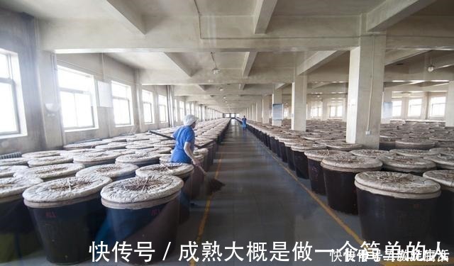 山西老陈醋|买醋时，专挑这3个产地的醋，不花冤枉钱，全是优质好醋