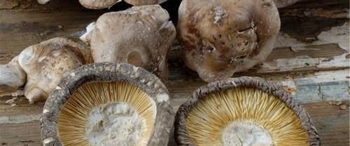 嘌呤|三种“排酸高手”现身,经常端上饭桌,尿酸回归正常,痛风不敢来