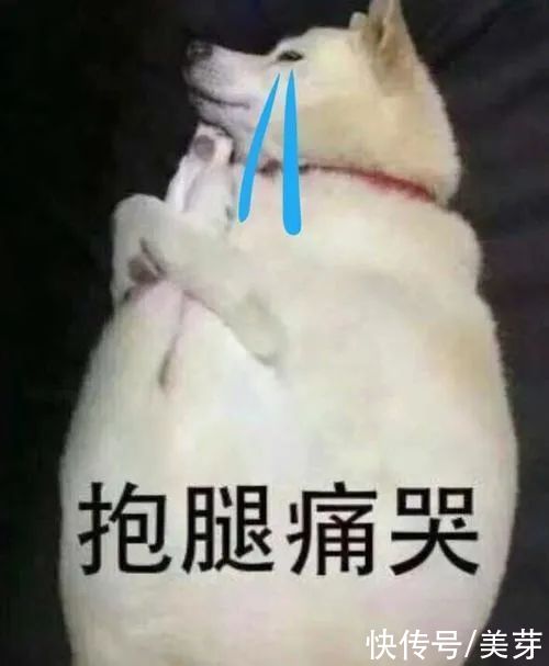 服了！到底什么样的腿才能算美腿啊