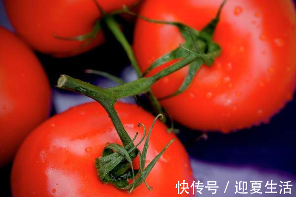 塑料袋|夏天保存西红柿,不需要放冰箱,菜农教你土方法,保存7天也鲜甜