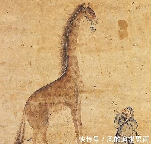 外国|明朝的国际大笑话:外国进贡一头长颈鹿,明成祖当麒麟供起来