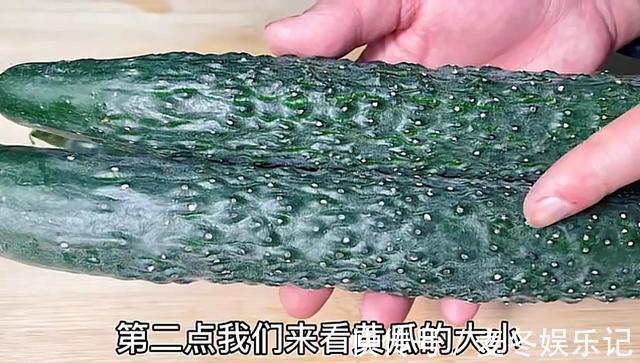 黄瓜|黄瓜打了激素如何辨别,看一眼这个位置就知道,老菜农方法真实用